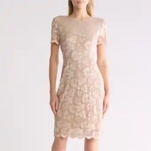 NWT - MARINA - Short Sleeve Stretch Lace Dress In Champagne - Size XL